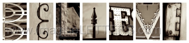 Wall_Art_Alphabet_Photography_Art_ 303.jpg